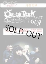 画像: ONE OK ROCK 2013 [Who are you?? Who are we??] TOUR 