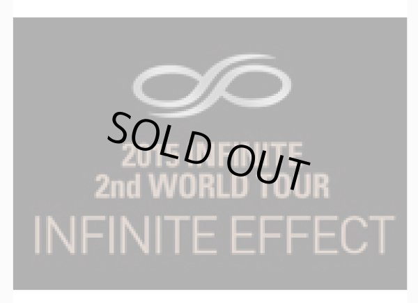 画像1: 2015 INFINITE 2nd World Tour「INFINITE EFFECT」